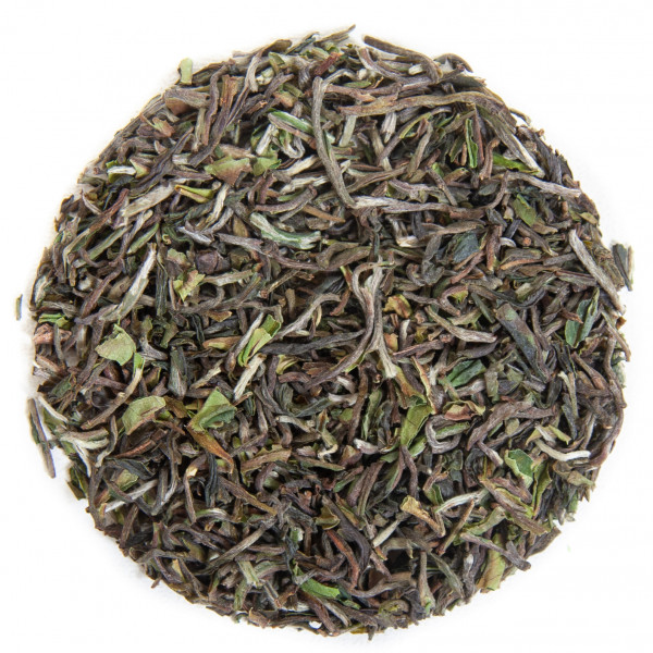 Nepal Sunderpani First Flush SFTGFOP1 Flugtee 2025