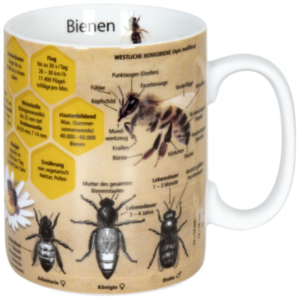 Könitz WISSENSBECHER Biene (0,49L)
