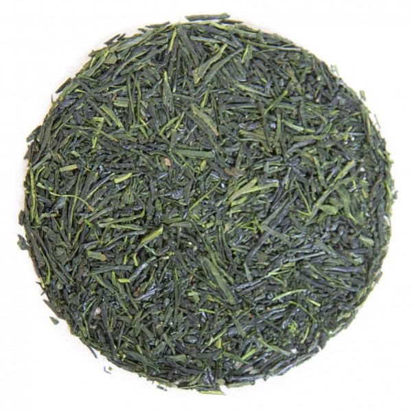Japan Shincha Shimoyama First Flush 2024