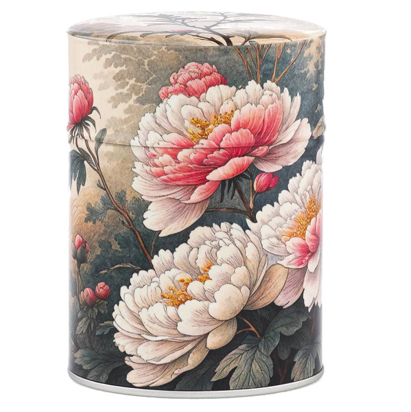 Esprit BOTAN illustrierte Dose