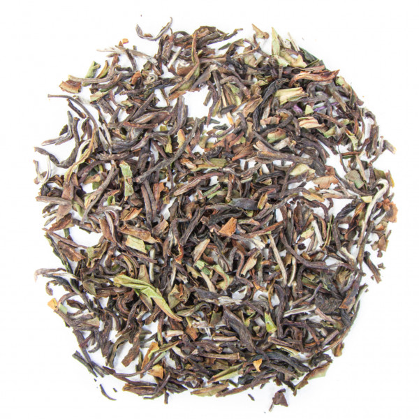 Nepal Gorkha First Flush SFTGFOP1