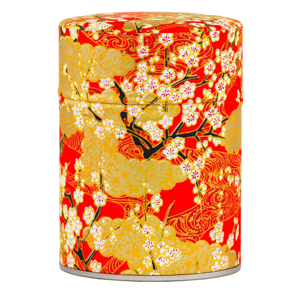 HISAWA Washi Dose (100g)